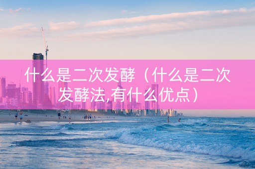 什么是二次发酵（什么是二次发酵法,有什么优点）
