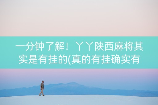 一分钟了解！丫丫陕西麻将其实是有挂的(真的有挂确实有挂)