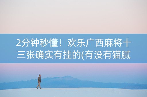 2分钟秒懂！欢乐广西麻将十三张确实有挂的(有没有猫腻)