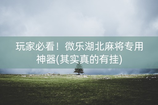 玩家必看！微乐湖北麻将专用神器(其实真的有挂)