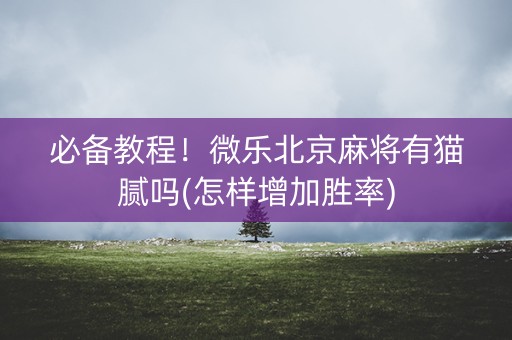 必备教程！微乐北京麻将有猫腻吗(怎样增加胜率)
