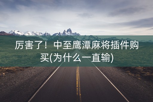 厉害了！中至鹰潭麻将插件购买(为什么一直输)