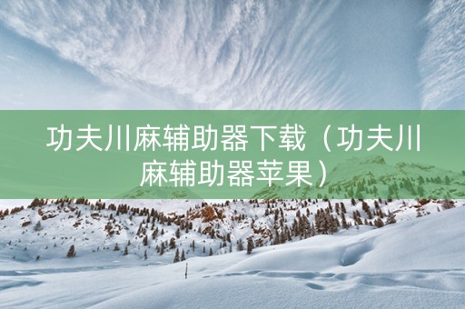 功夫川麻辅助器下载（功夫川麻辅助器苹果）