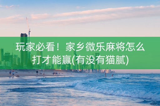 玩家必看！家乡微乐麻将怎么打才能赢(有没有猫腻)