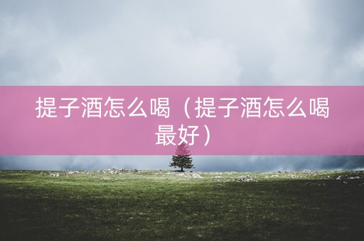 提子酒怎么喝（提子酒怎么喝最好）