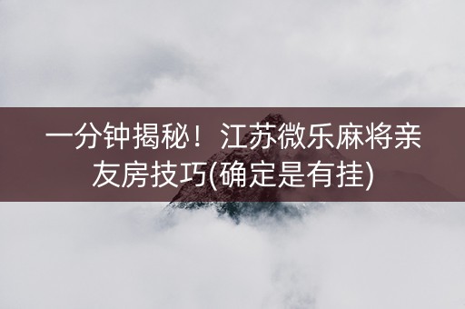 一分钟揭秘！江苏微乐麻将亲友房技巧(确定是有挂)