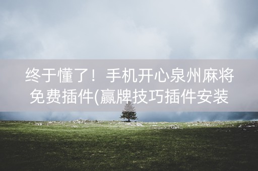 终于懂了！手机开心泉州麻将免费插件(赢牌技巧插件安装)