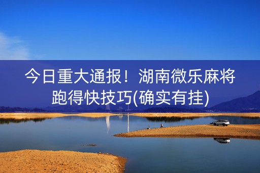 今日重大通报！湖南微乐麻将跑得快技巧(确实有挂)