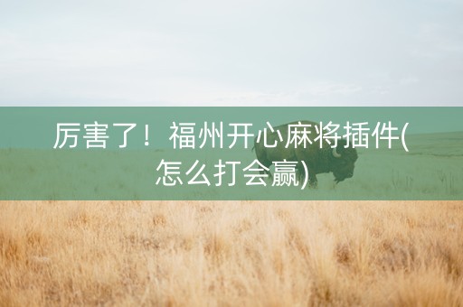 厉害了！福州开心麻将插件(怎么打会赢)