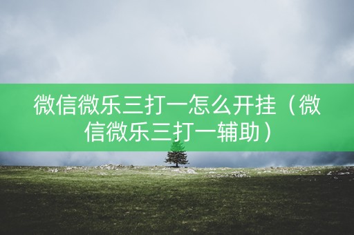 微信微乐三打一怎么开挂（微信微乐三打一辅助）