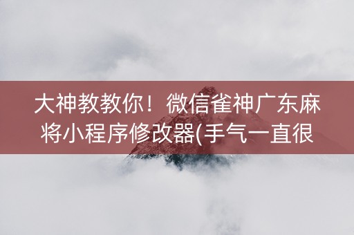 大神教教你！微信雀神广东麻将小程序修改器(手气一直很差)