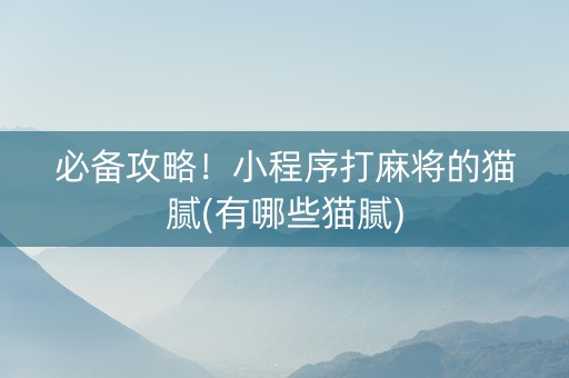 必备攻略！小程序打麻将的猫腻(有哪些猫腻)
