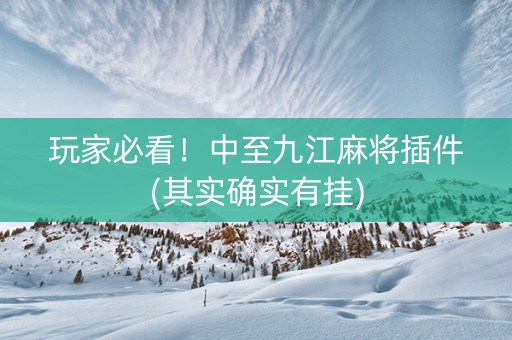 玩家必看！中至九江麻将插件(其实确实有挂)