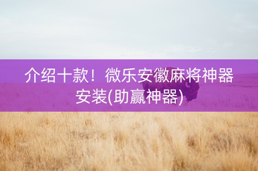介绍十款！微乐安徽麻将神器安装(助赢神器)