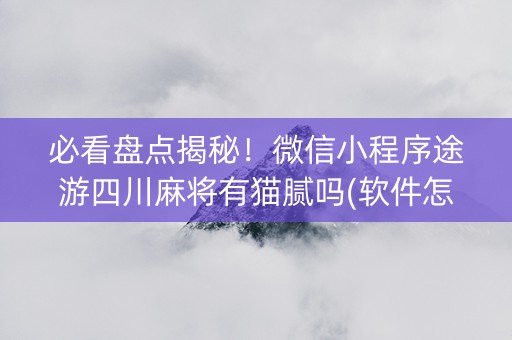 必看盘点揭秘！微信小程序途游四川麻将有猫腻吗(软件怎么打赢)