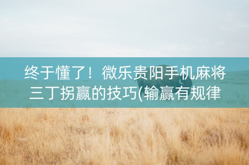 终于懂了！微乐贵阳手机麻将三丁拐赢的技巧(输赢有规律)