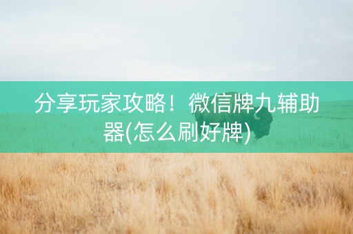 分享玩家攻略！微信牌九辅助器(怎么刷好牌)