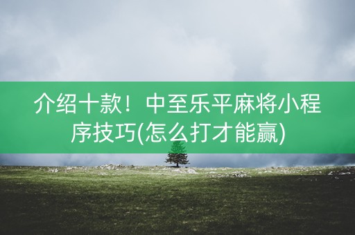 介绍十款！中至乐平麻将小程序技巧(怎么打才能赢)