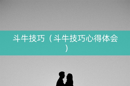 斗牛技巧（斗牛技巧心得体会）