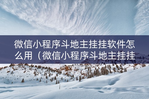微信小程序斗地主挂挂软件怎么用（微信小程序斗地主挂挂软件怎么用不了）