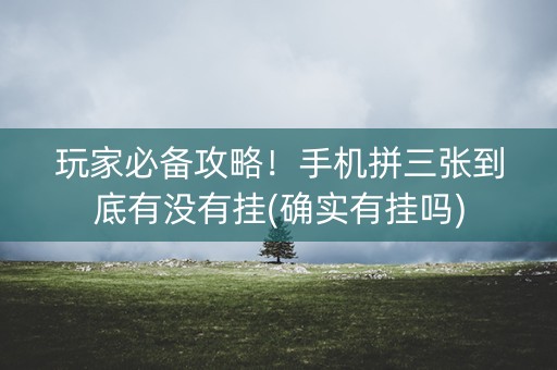 玩家必备攻略！手机拼三张到底有没有挂(确实有挂吗)