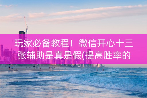 玩家必备教程！微信开心十三张辅助是真是假(提高胜率的方法)