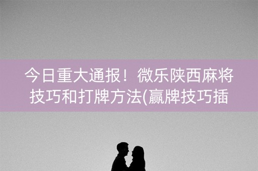 今日重大通报！微乐陕西麻将技巧和打牌方法(赢牌技巧插件安装)