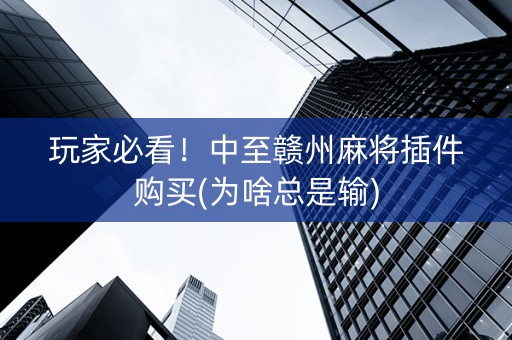 玩家必看！中至赣州麻将插件购买(为啥总是输)