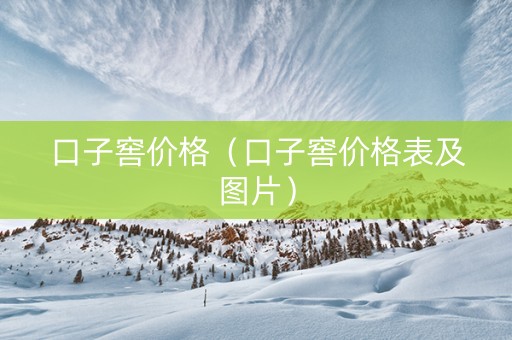 口子窖价格（口子窖价格表及图片）