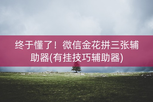 终于懂了！微信金花拼三张辅助器(有挂技巧辅助器)