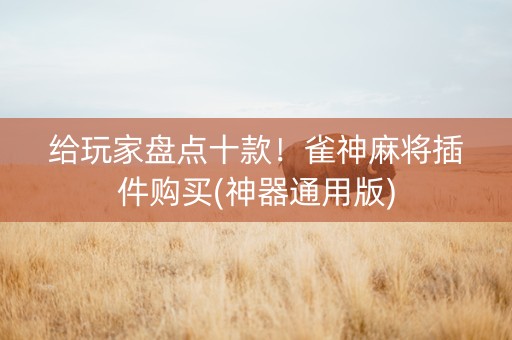 给玩家盘点十款！雀神麻将插件购买(神器通用版)