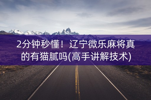 2分钟秒懂！辽宁微乐麻将真的有猫腻吗(高手讲解技术)