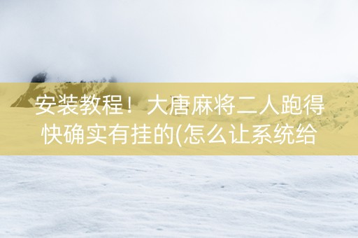 安装教程！大唐麻将二人跑得快确实有挂的(怎么让系统给你发好牌)