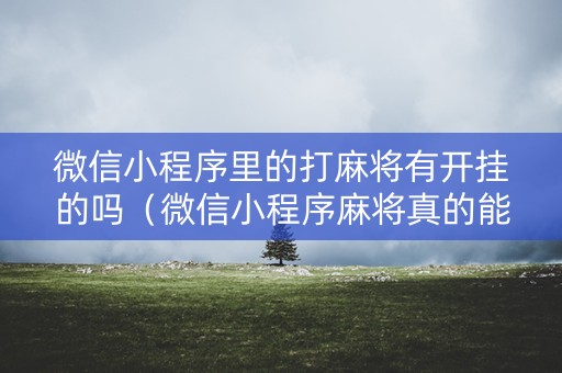 微信小程序里的打麻将有开挂的吗（微信小程序麻将真的能开挂吗）
