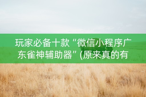 玩家必备十款“微信小程序广东雀神辅助器”(原来真的有挂)-知乎