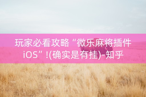 玩家必看攻略“微乐麻将插件iOS”!(确实是有挂)-知乎