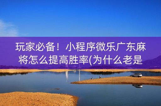 玩家必备！小程序微乐广东麻将怎么提高胜率(为什么老是输)