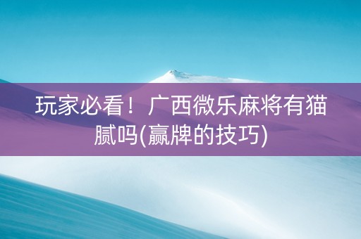 玩家必看！广西微乐麻将有猫腻吗(赢牌的技巧)
