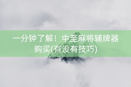 一分钟了解！中至麻将辅牌器购买(有没有技巧)