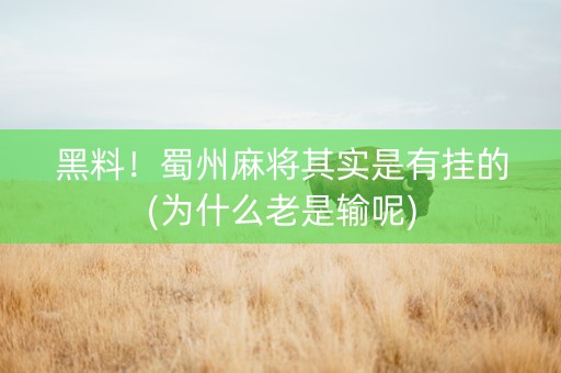 黑料！蜀州麻将其实是有挂的(为什么老是输呢)
