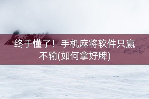 终于懂了！手机麻将软件只赢不输(如何拿好牌)