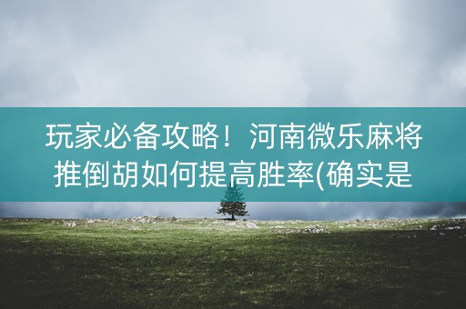 玩家必备攻略！河南微乐麻将推倒胡如何提高胜率(确实是有挂)