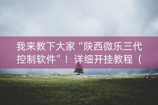 我来教下大家“陕西微乐三代控制软件”！详细开挂教程（确实真的有挂)-知乎