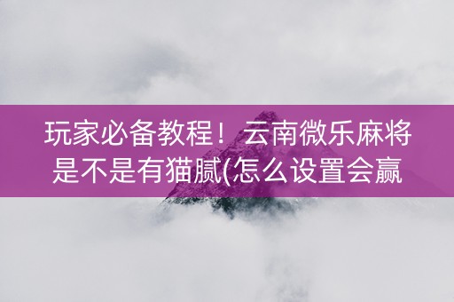 玩家必备教程！云南微乐麻将是不是有猫腻(怎么设置会赢)
