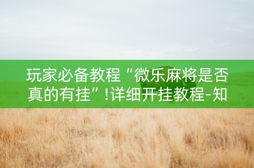 玩家必备教程“微乐麻将是否真的有挂”!详细开挂教程-知乎