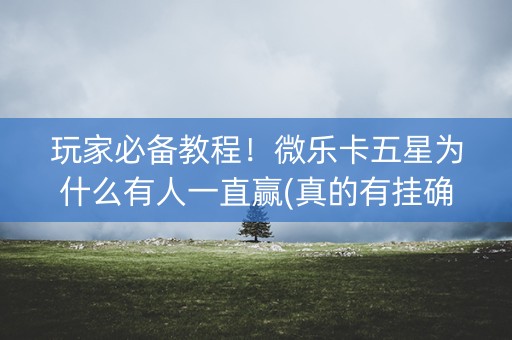 玩家必备教程！微乐卡五星为什么有人一直赢(真的有挂确实有挂)