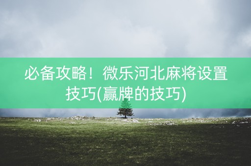 必备攻略！微乐河北麻将设置技巧(赢牌的技巧)
