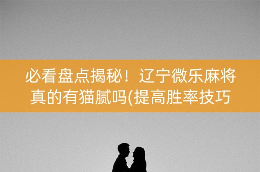 必看盘点揭秘！辽宁微乐麻将真的有猫腻吗(提高胜率技巧)