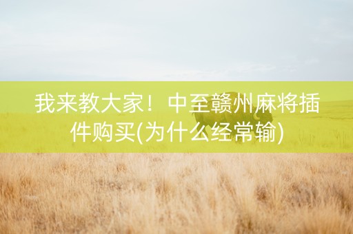 我来教大家！中至赣州麻将插件购买(为什么经常输)