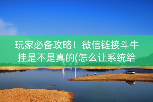 玩家必备攻略！微信链接斗牛挂是不是真的(怎么让系统给你发好牌)